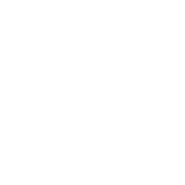 施術内容